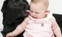Шестимесячные дети понимают собачий лай 