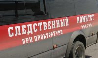 СК начал проверку после обнаружения тела трехлетнего ребенка