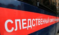 СК РФ открыл уголовное дело после смерти роженицы с ребенком в Новосибирске