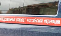 СК: студентка родила и убила ребенка в туалете бурятского общежития