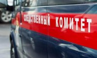 СКР возбудил два дела после попыток срыва выборов в Госдуму на Украине