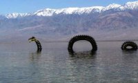 СМИ раскрыли тайну лох-несского чудовища