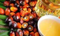 Поставки пальмового масла в РФ снизились 