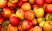 Снизить риск инфарктов и инсультов на треть помогут яблоки