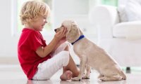 Собака против астмы: как домашний питомец может укрепить здоровье ребенка