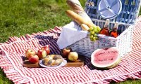 Специалисты назвали скрытые опасности летнего пикника