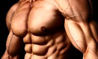 Специалисты объяснили, почему полным людям сложно нарастить мышцы