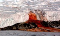 Специалисты объяснили природу Кровавого водопада в Антарктиде