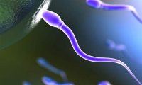 Сперма может говорить об общем состоянии здоровья мужчины