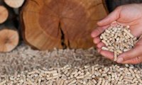 США заметно увеличили экспорт древесных пеллет на фоне войны на Украине 