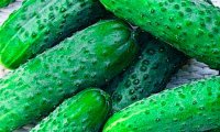 Стало известно о новых полезных свойствах огурцов