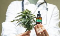 Стартап, специализирующийся на препаратах с обезболивающим эффектом каннабиса проведет IPO на лондонской бирже