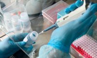 Тестирование препарата от коронавируса замедлилось из-за отсутствия подходящих кандидатов