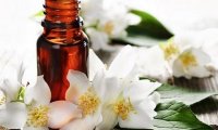 Топ-6 полезных для здоровья свойств жасминового масла