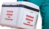 Трансплантация сложных органов давно умерших людней возможна