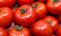 Участники рынка заподозрили Минск в массовом реэкспорте турецких томатов