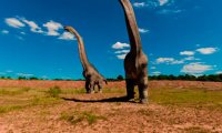 Ученые нашли в Египте скелет гигантского динозавра