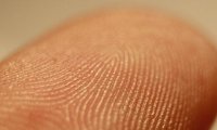 Ученые научились определять расу по отпечатку пальца