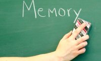 Ученые научились стирать и возвращать память