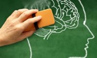 Ученые научились стирать память