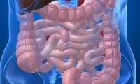 Ученые обнаружили связь между кишечными бактериями и аппетитом