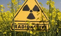 Ученые предупреждают о новом Чернобыле