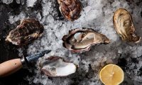 UMI Oysters: обновленная коллекция устриц!