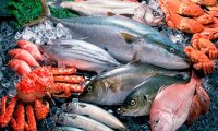 Употребление рыбы и морепродуктов поможет женщинам сохранить хороший слух 