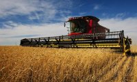 Урожай зерна в стране по итогам года может стать рекордным