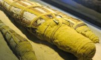 В Египте обнаружили мумию огромного крокодила