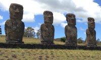 В гибели цивилизации острова Пасхи виноват сладкий картофель