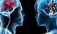В головном мозге женщин и мужчин обнаружены новые различия