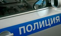 В Москве пенсионерка на собачьей упряжке попала под колеса машины полиции