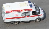 В Новоржеве автоледи насмерть сбила двух пешеходов