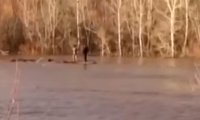 В Оренбуржье любителей селфи унесло на бревне по реке