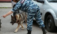 В полицию поступило сообщение о бомбе в школе на востоке Москвы‍