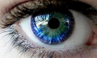 В процессе моргания глазные яблоки меняют свое положение