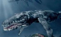 В России нашли останки неизвестного науке крупного морского ящера 