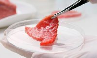 В России создали искусственное мясо