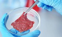 В США разрешили потребление выращенного в лаборатории мяса