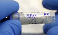 В Таиланде беременных женщин проверят на вирус Зика