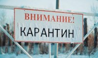В Тюменской области ввели карантин по бешенству