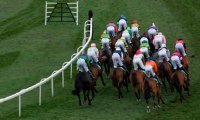 В Великобритании провели виртуальные скачки Grand National