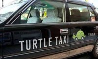 В Японии набирает популярность черепашье такси