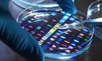 Великобритания запускает революционный проект по созданию искусственной ДНК человека