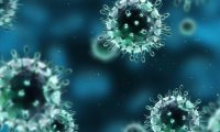 Вирус H1N1 ведет себя «по-свински»