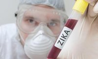 Вирус Зика зарегистрирован в трех новых странах