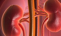 Хронический запор может привести к почечной недостаточности