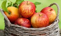 Яблоки защищают от 6 видов рака