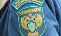 Экологический контроль на местах могут передать Росприроднадзору